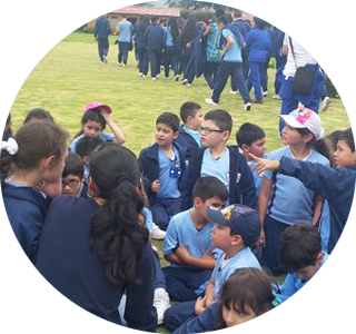 Basica secundaria